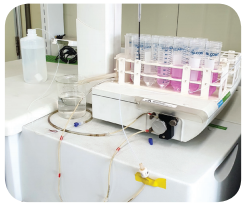 6면 동물위생정보 그림3